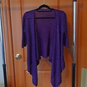 Beautiful Sliver Sparkling (Sweater)